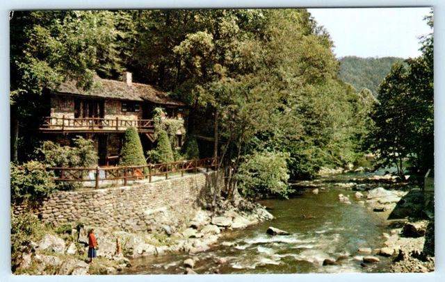 GATLINBURG, Tennessee TN ~ Roadside LAUREL SPRINGS LODGE Motel c1960s Postcard