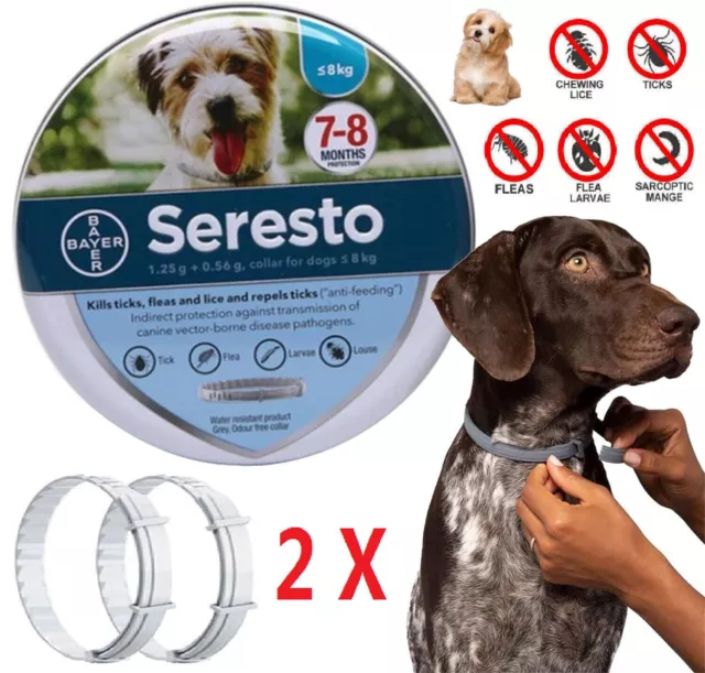 2X Respinge Collare Antiparassitario per Cani meno di 8Kg 8 mesi di Protezione-a