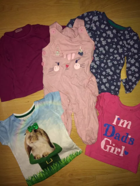 Baby Girl Bundle Of Clothes, Tops & Dungarees, 12-18 Months, Floral, Bunny, Cat