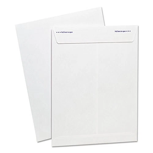 Ampad Fastrip Catalog Envelope 9 Inch x 12 Inch Peel & Seal Adhesive Tint Tea...