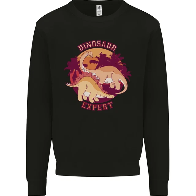 Dinosaur Expert Kids Sweatshirt Jumper