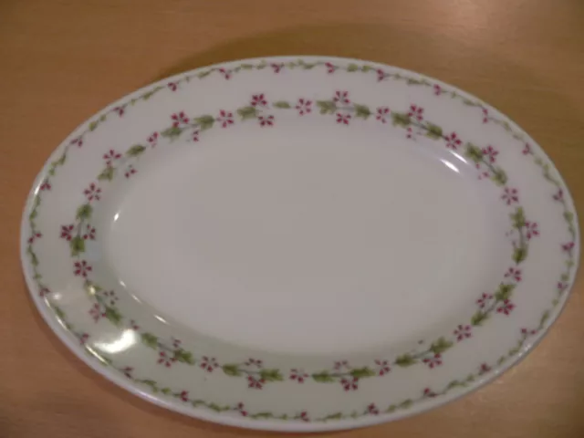 Very Nice & Very Rare Theodore Haviland Northern Pacific Railroad China Platter