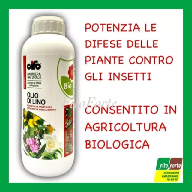 Zeolite Cubana 6 kg – BioBob, il fertilizzante naturale per piante da orto  e fiori