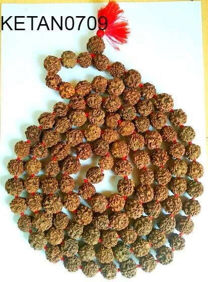 6 Six Mukhi Rudraksha Mala Surya Agni Siddha Mala 54+1 Collector Japa Beads