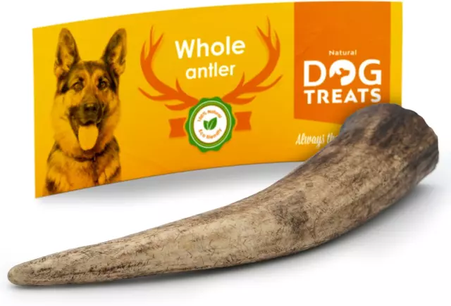 Natural Dog Treats - Corna Di Cervo per Cani 100% Naturale - Osso Di Cervo per C