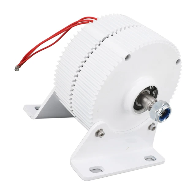 Generatore a magneti permanenti 300W generatore sincrono 3 fasi alternatore 12V