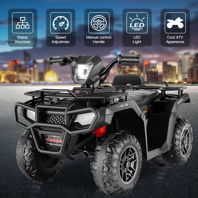 12v kids quad
