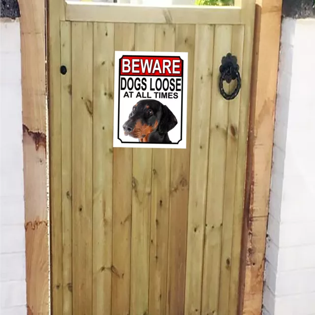 BEWARE DOGS LOOSE AT ALL TIMES Doberman Pinscher SIGN 267mm x 200mm 992H1