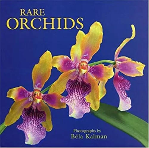 Raro Orquídeas Tapa Dura Bela de Kalman
