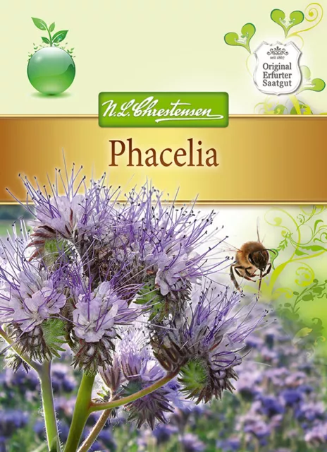 Phacelia tanacetifolia, 50 g für ca. 10 m², Gründüngung, Bienenweide, 4545