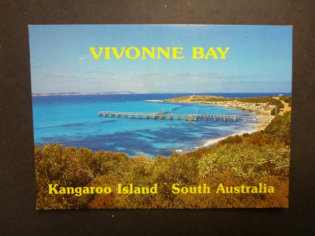 RETRO AUSTRALIAN POSTCARD- VIVONNE BAY, SA KANGAROO Is JETTY