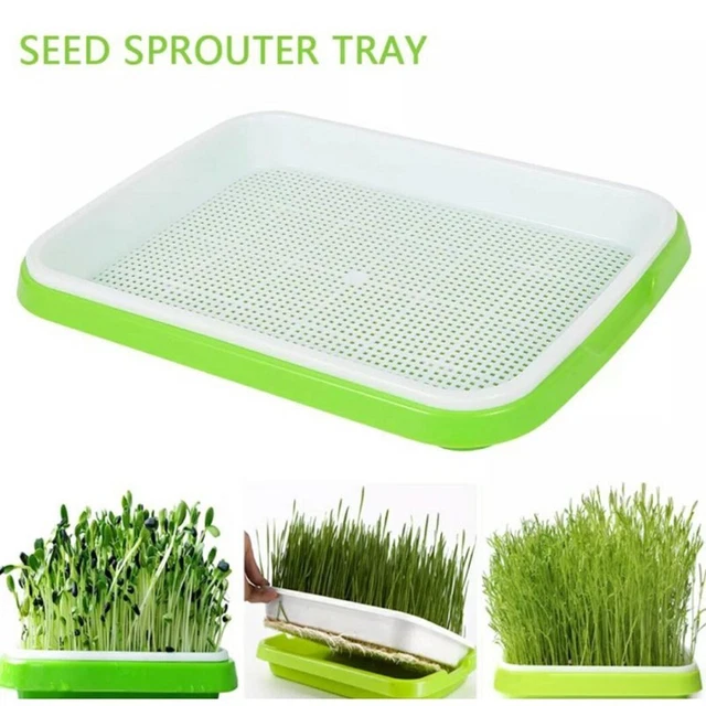 Plateau à germes hydroponique pour microgreens et pour germes facile d'entretie
