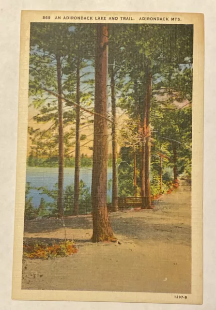 Vintage Postcard An Adirondack Lake and Trail