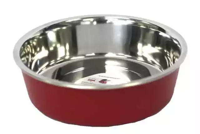 Delisio Designer Stainless Steel Dog, Cat, Pet Bowl Black