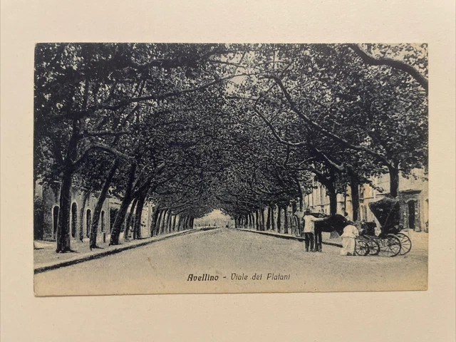 Cartolina Avellino Viale dei platani 1929