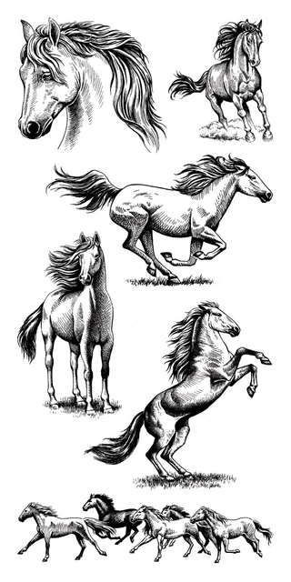 Inkadinkado Clear Stamps 4"X8"-Horses -I99540
