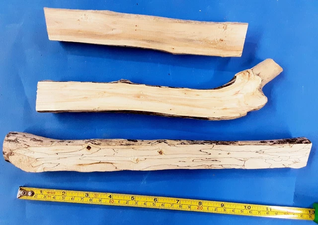 Grandes Blancos De Pirografía. Madera A La Deriva. Decoración De Madera. Madera Dividida. Arte Quemado.