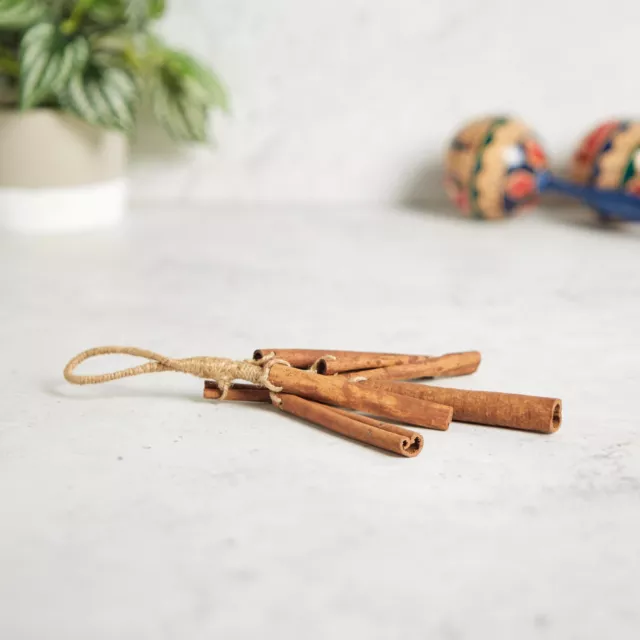 Cinnamon stick shaker rattle on jute rope handmade music instrument