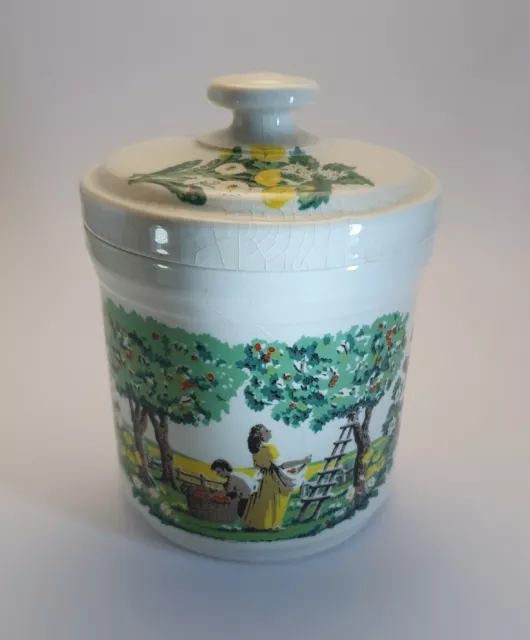 1982 Dorn Williams Cardigan Pottery National Trust Canister Jar Airtight Lid