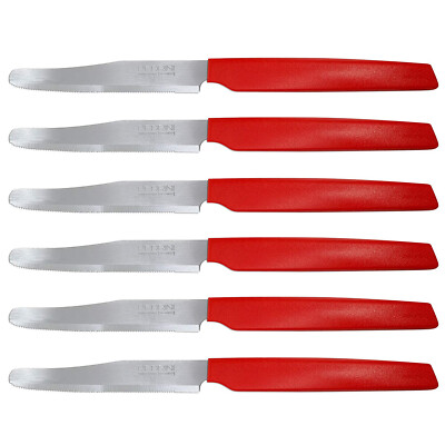 serie Active Acciaio Inossidabile Pedrini 04GD053 Coltelli da Tavola 6 coltelli 