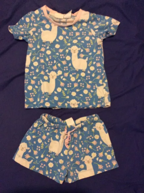 Peter alexander sales frenchie pyjamas