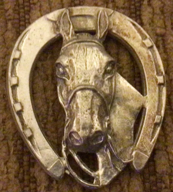 Horse Head and Horseshoe Brass Costume Silver Pin