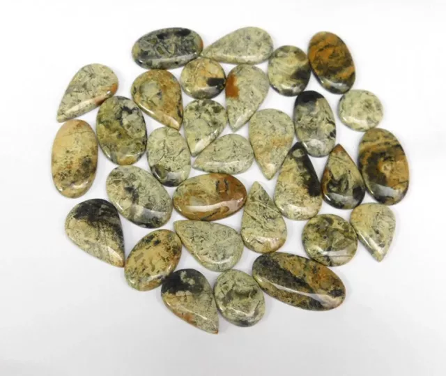 Natural Beautiful Jasper Multi Shape Cabochon Handmade Gemstone Wholesale Lot