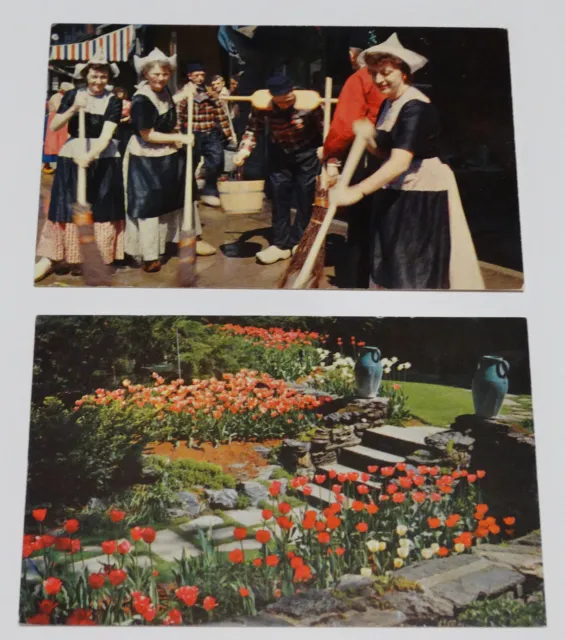 Holland Michigan MI Postcards Tulip Time Festival Spring Flowers