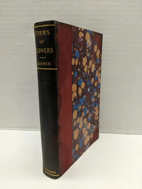 Charles Darwin - Forms of Flowers - 1896 D. Appleton Co. Antique Book