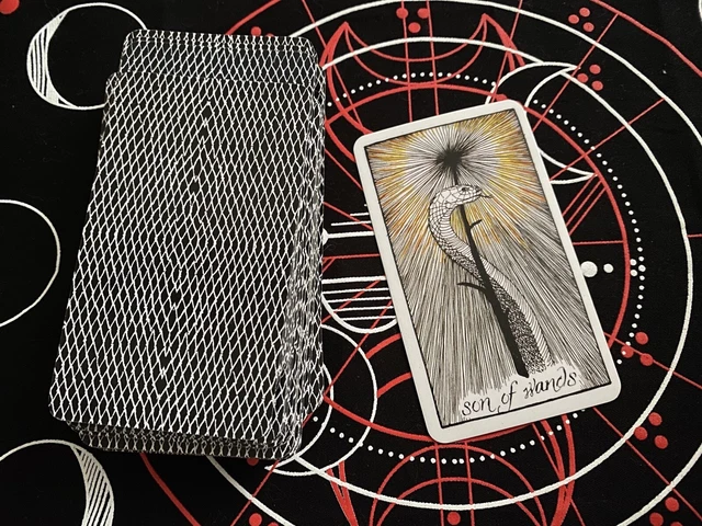 Same Day Tarot Reading- Yes / No Questions - 1 Card