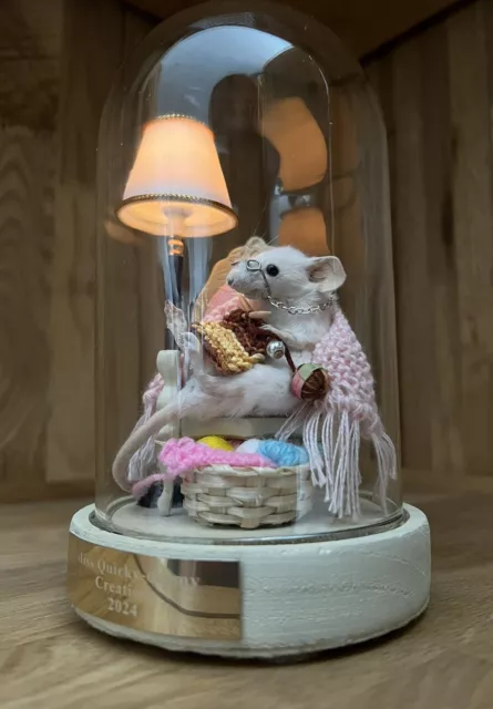 🐁 Taxidermy Knitting Grandma Mouse With Switch Operated Lighting! Dome🐁