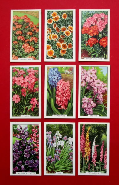 GALLAHER 9 VINTAGE 1938 CIGARETTE CARDS GARDEN FLOWERS  FOR No's  SEE PICTURES