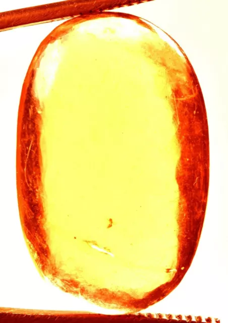 18.25 CTS. NATURAL Genuine Old Baltic Amber Untreated Certified ...