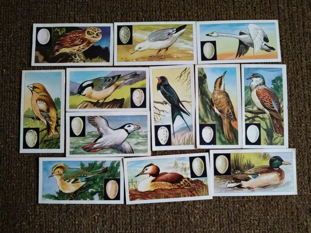 Glengettie Tea Cards. Birds And Their Eggs. 12 cards. 1970's.