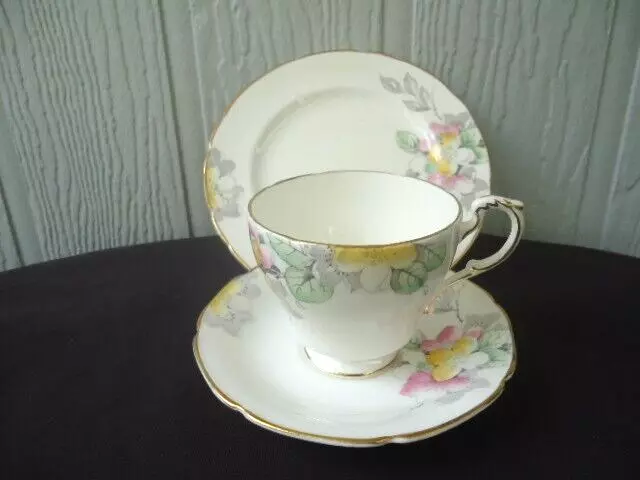 vintage paragon bone china trio tea cup & saucer plate set