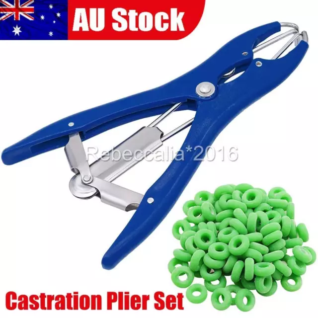 Elastrator Castration Large Plier +100 Rubber Rings Applicator Castrator rings