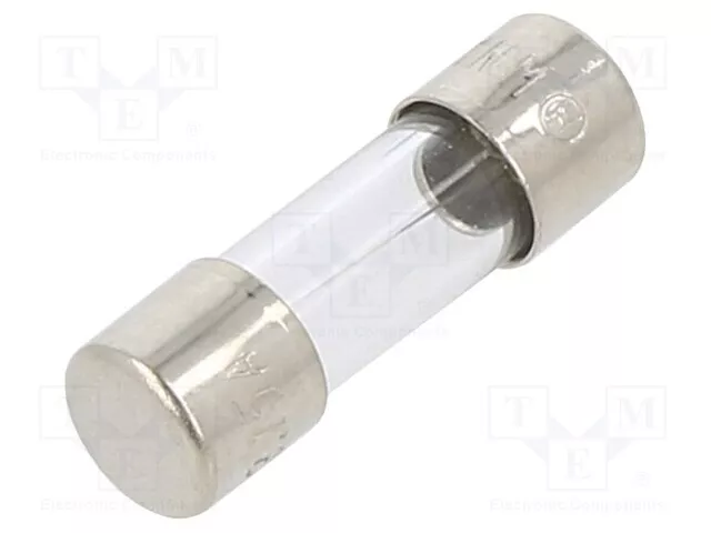 3,15A 250VAC 5x15mm en Verre Sécurité : Schmelz Rapidement
