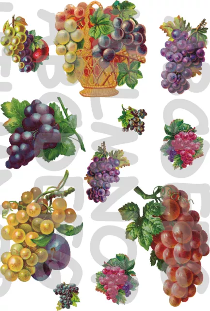 11 Adesivi Grappoli Uva Frutta Grapes Stickers Impermeabili Piastrelle Cucina