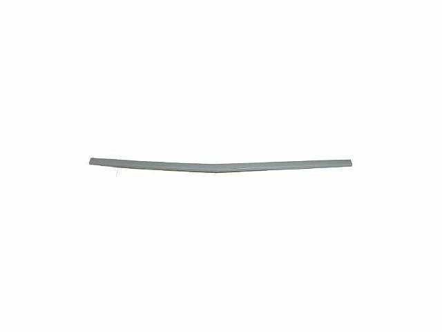 Front Action Crash Goodmark Hood Molding fits Ford Mustang 1973 52TDDG