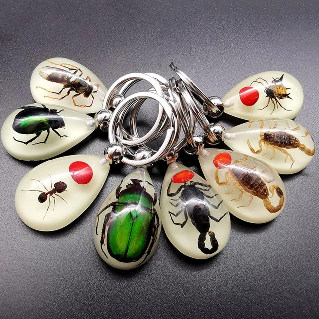 Keychain Decor High Strength Wide Application Keychain Spiders Sample Inside