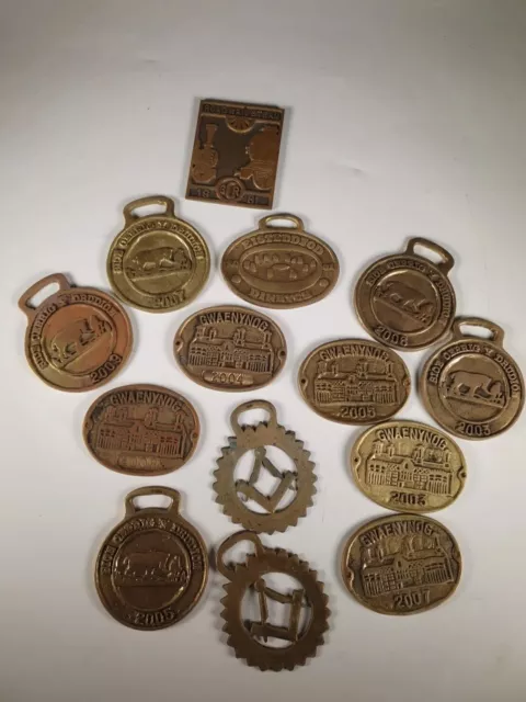 Brass Plaques And Horse Brasses Gwaenynog Etc