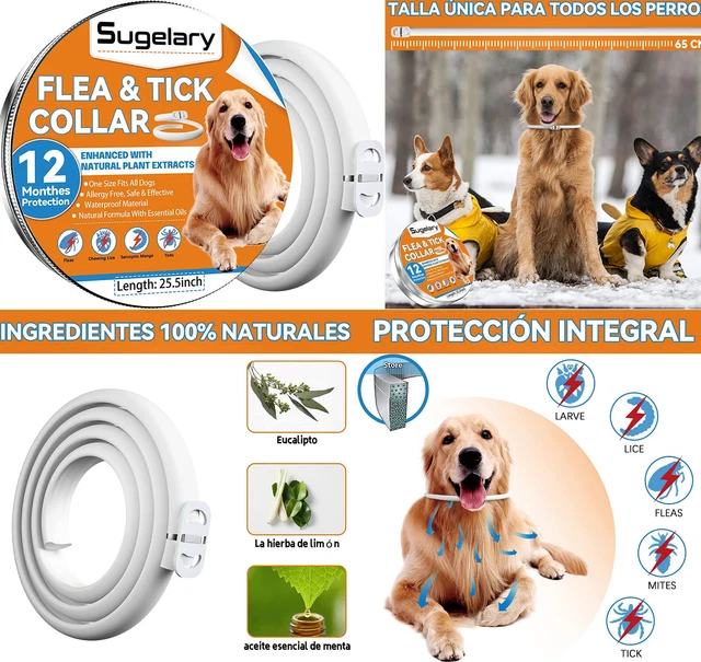 Collar Antiparasitario Perros,64 cm,ajustable,impermeable,protección de 12 meses