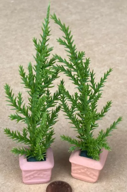 Pair of Conifer Style Trees in Pots 1:12 Scale Dolls House Miniature Garden ZB