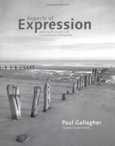Aspects of Expression: Exploring the Art and Cra... by Gallagher, Paul Paperback