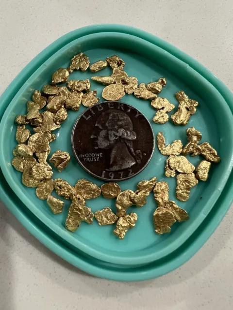 7.8 Grams Alaska Natural Gold Nuggets (Quarter Troy Ounce)