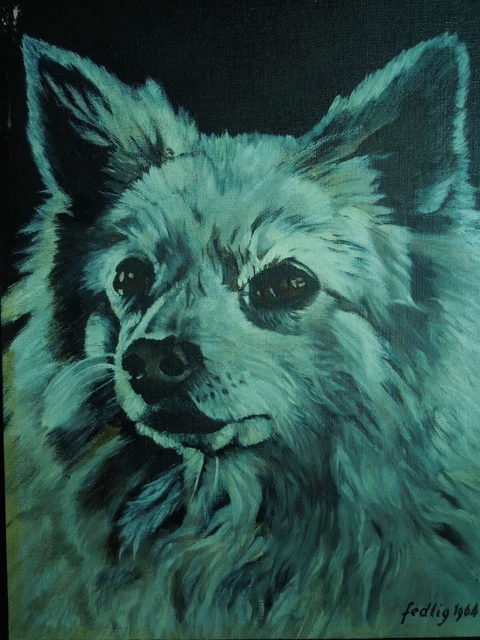Tableau    Peinture    Portrait Chien Blanc    Spitz