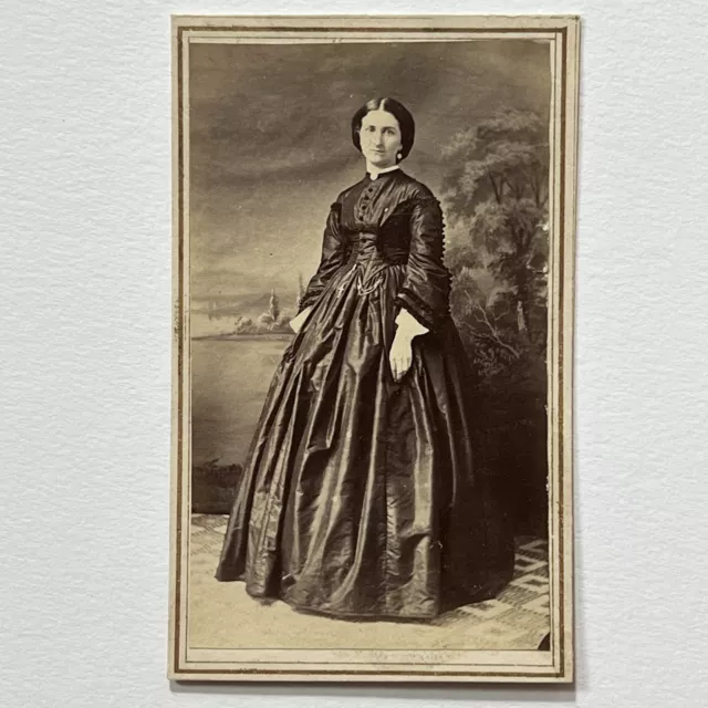 Antique CDV Photograph Beautiful Woman Civil War Era Amazing Dress & Background