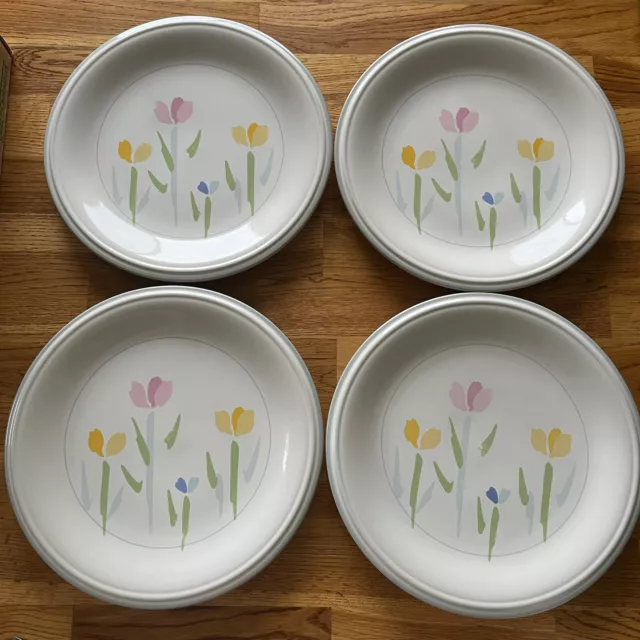Studio Nova Set Of 4 Villager Fresh Mint 11" Dinner Plates Jf004 Chris & Asa