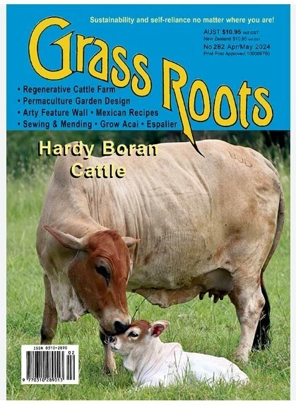 Bluegrass Roots Magazine GRASS ROOTS MAGAZINE Issue 282 April-May 2024/ HARDY BORAN CATTLE $16. ...