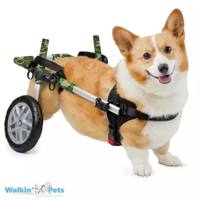 Camouflage Corgi Dog Wheelchair - for Small Dogs 18-40+ Pounds
